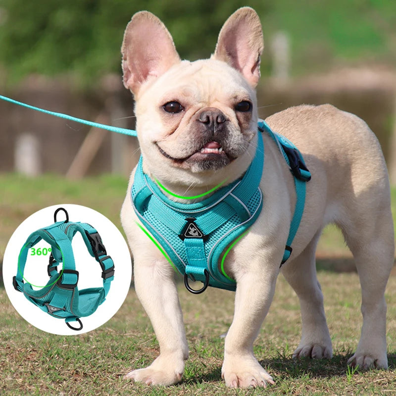 No Pull Dog Adjustable Vest Collar/Harness & Leash