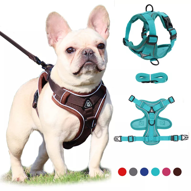 No Pull Dog Adjustable Vest Collar/Harness & Leash