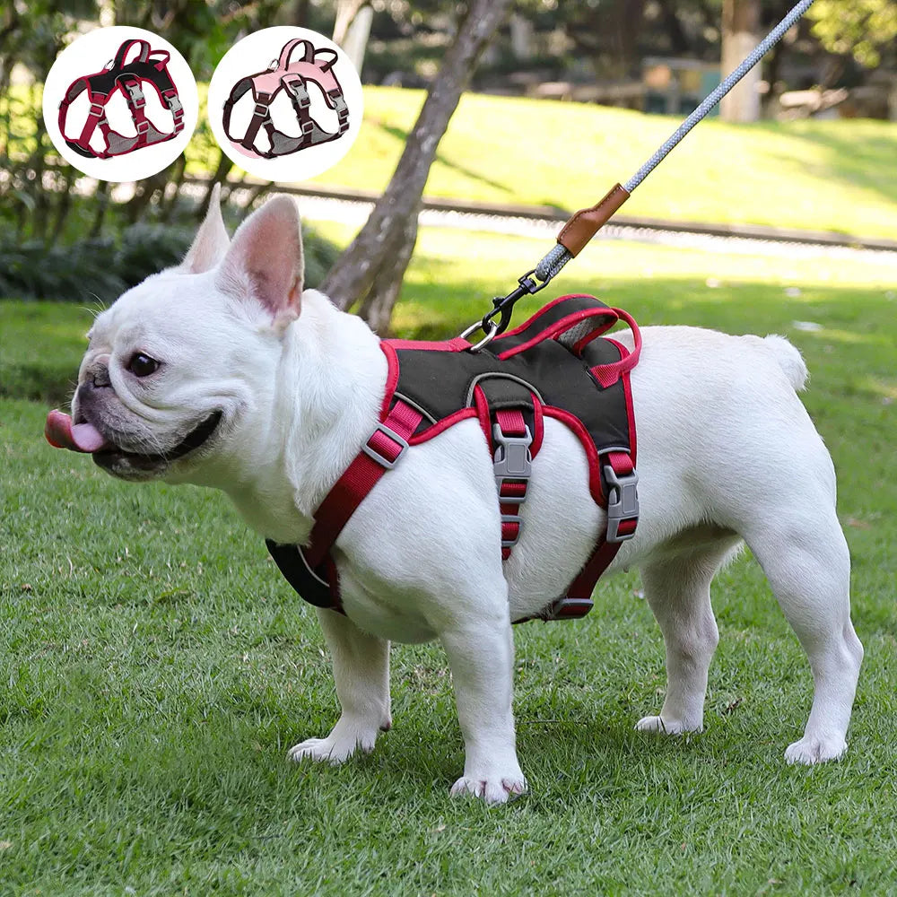 Waterproof No Pull Dog Vest Harness