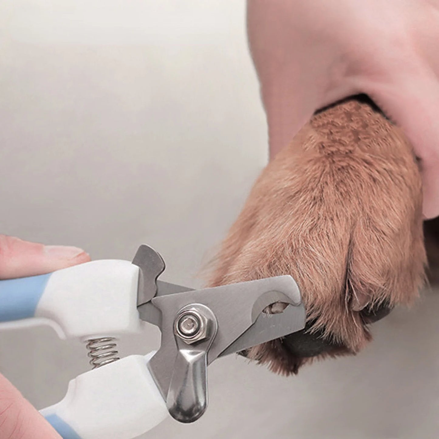 Dog Professional Stainless Steel Nail Clipper