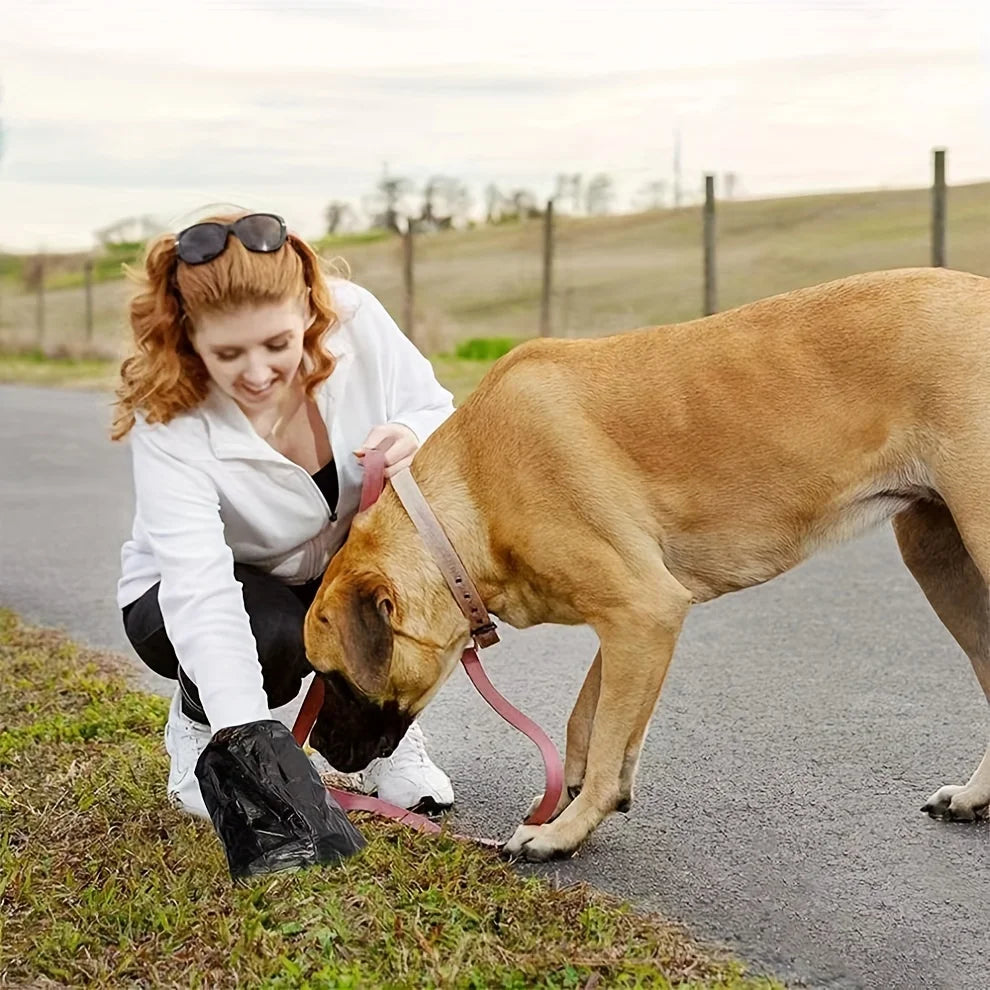 Black Dog Outdoor Cleaning Poop Bags With Dispenser & Leash Clip