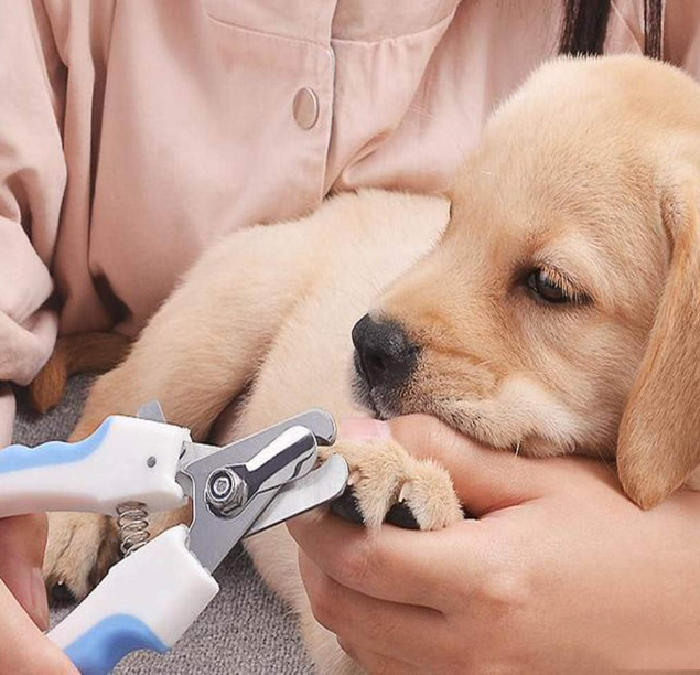 Dog Professional Stainless Steel Nail Clipper