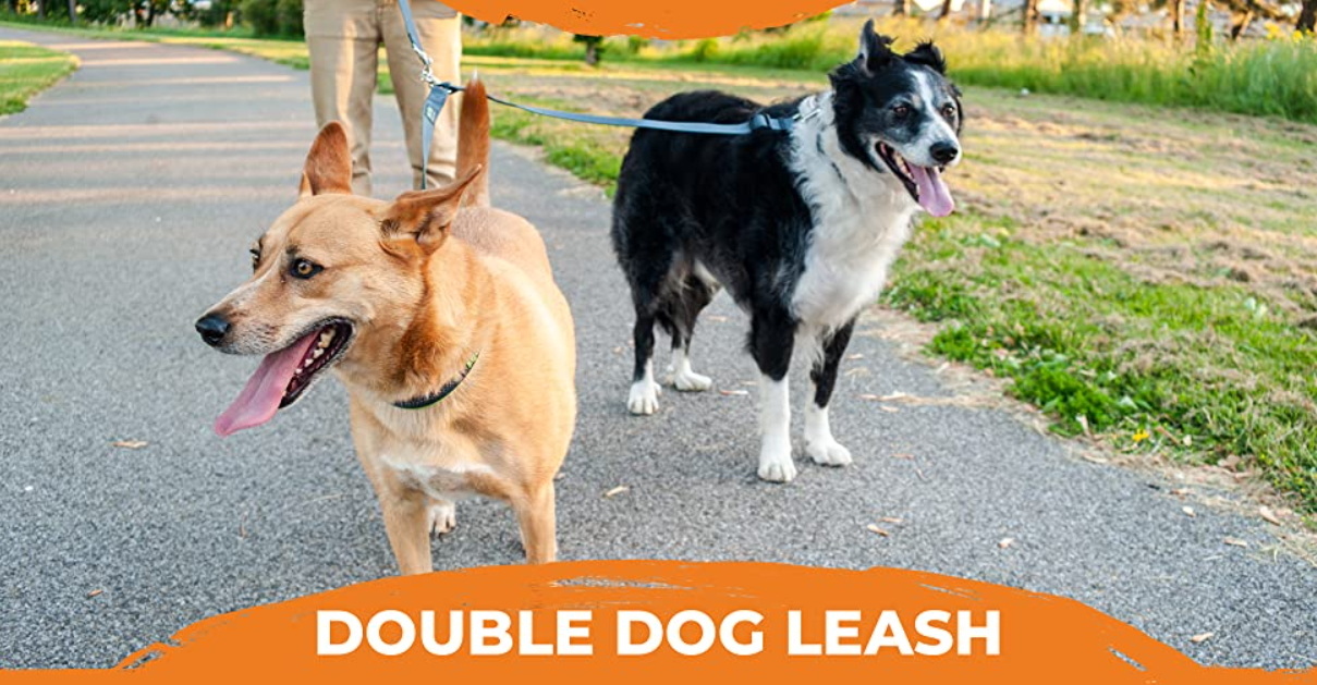 Double Dog Lead for Hiking/Walking & Comfort Grip