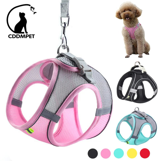 No Pull Dog Adjustable Vest Harness & Leash for Outdoor Walking/Hiking