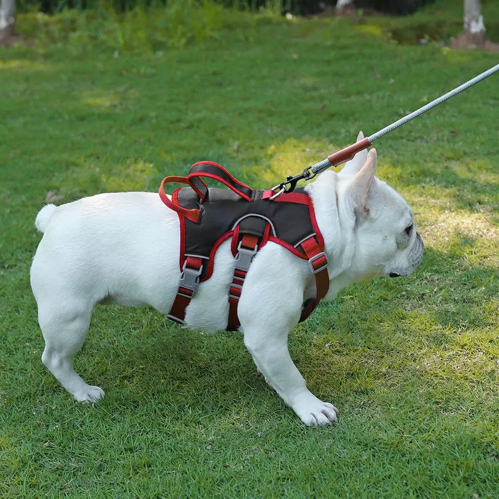 Waterproof No Pull Dog Vest Harness