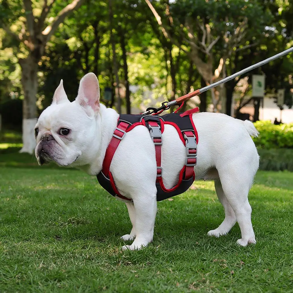 Waterproof No Pull Dog Vest Harness