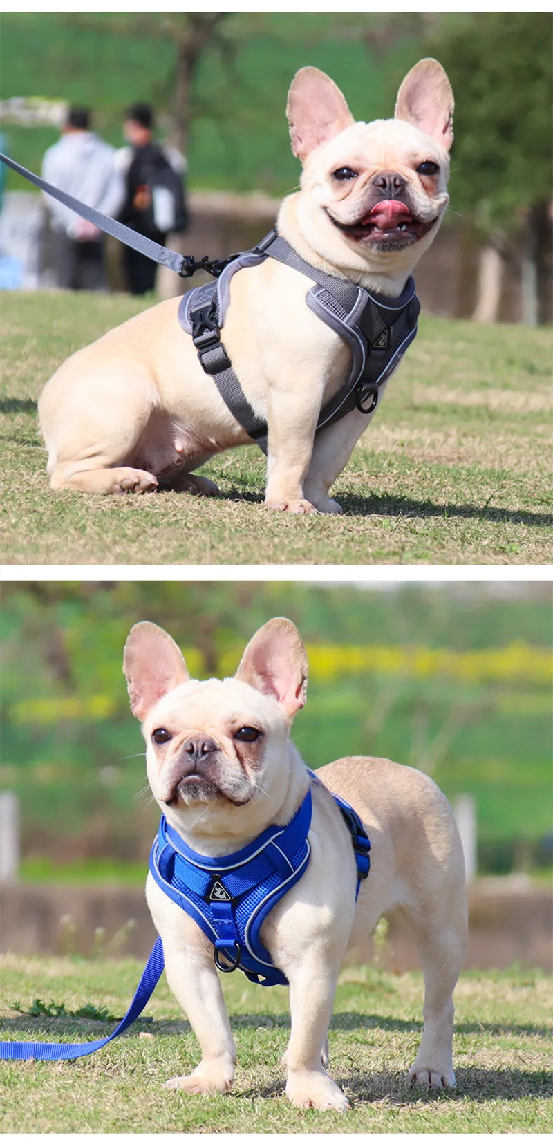 No Pull Dog Adjustable Vest Collar/Harness & Leash