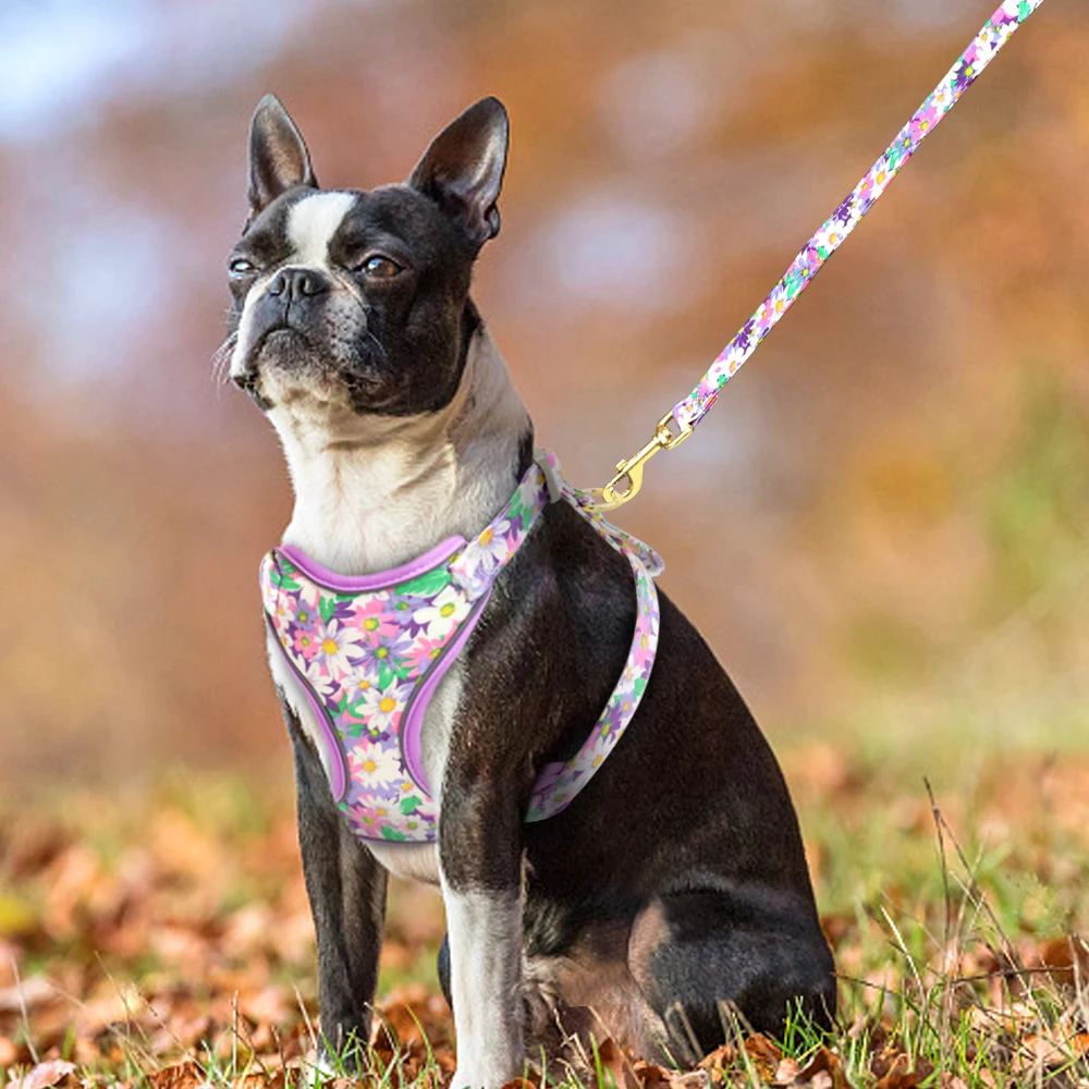 Reflective No Pull Dog Vest Walking Harness