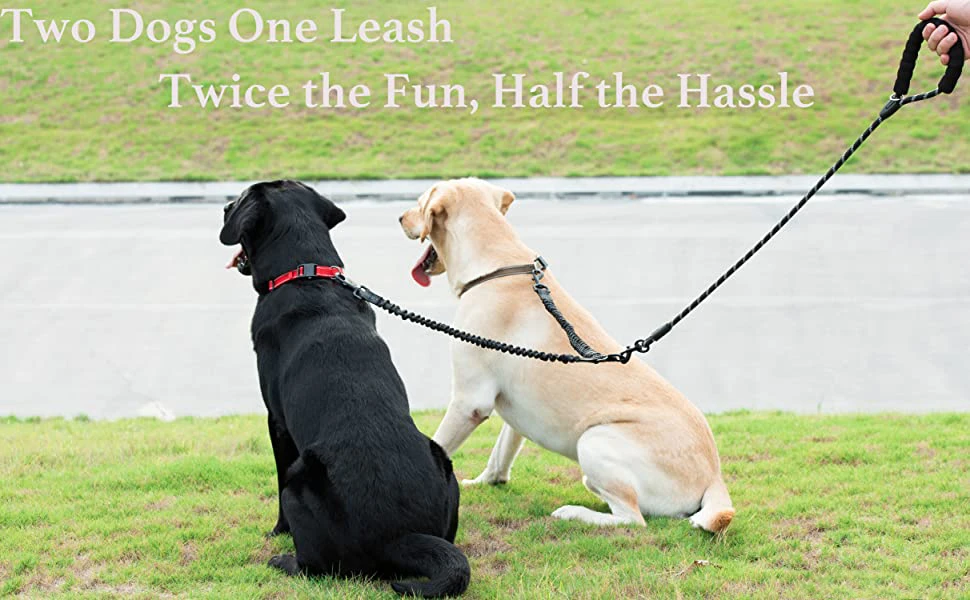 Double Dog Lead for Hiking/Walking & Comfort Grip