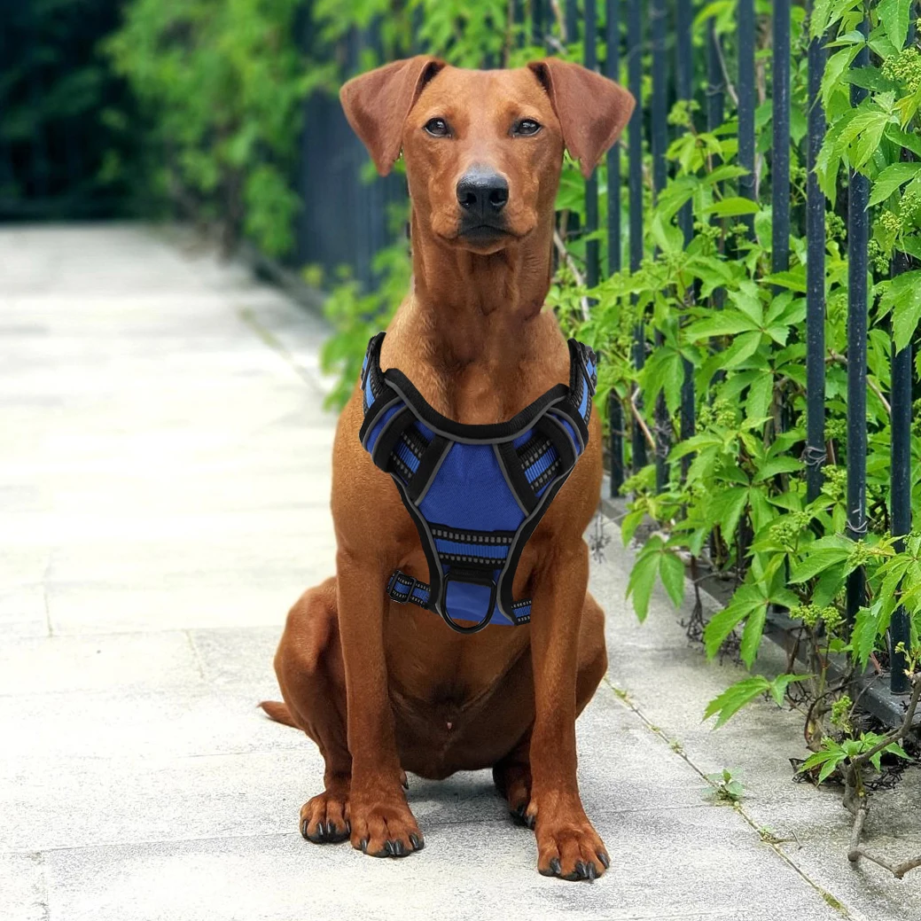 Bolux Reflective & Breathable No Pull Dog Harness