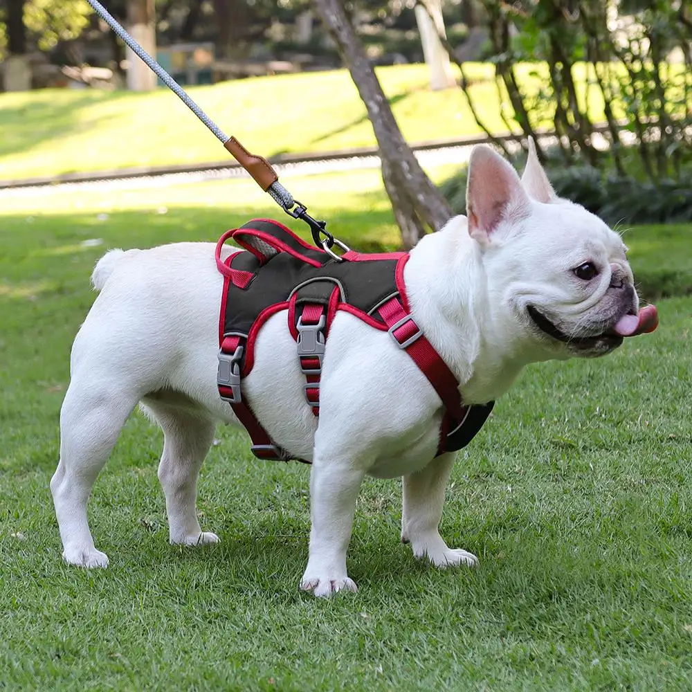 Waterproof No Pull Dog Vest Harness