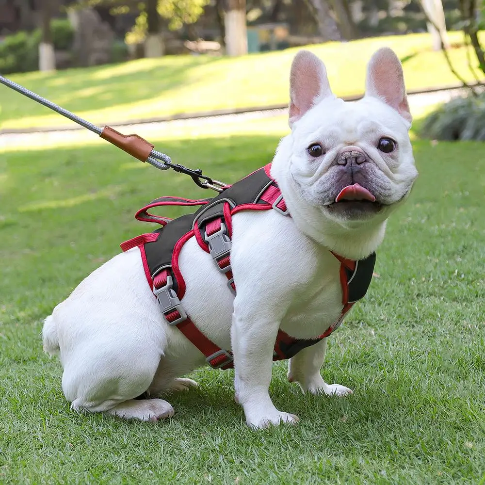 Waterproof No Pull Dog Vest Harness