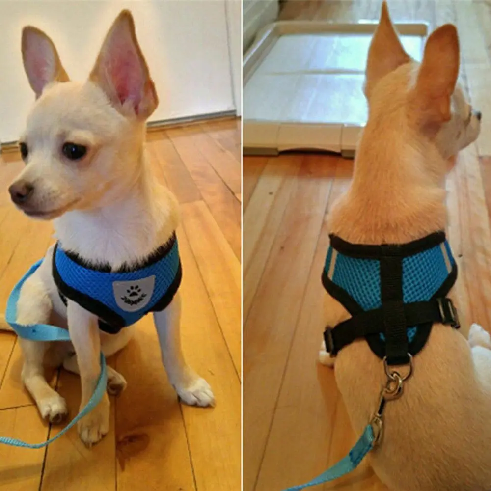 No Pull Dog Comfortable/Breathable Vest Collar/Harness & Leash