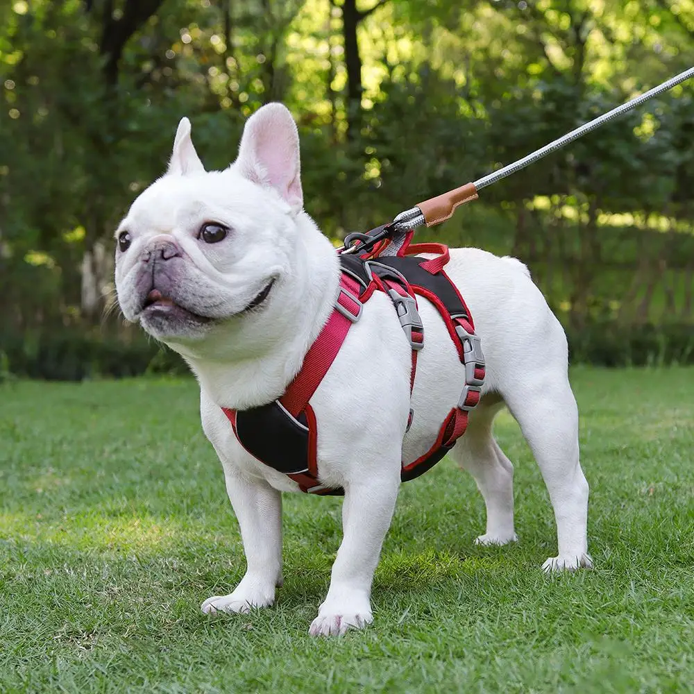 Waterproof No Pull Dog Vest Harness